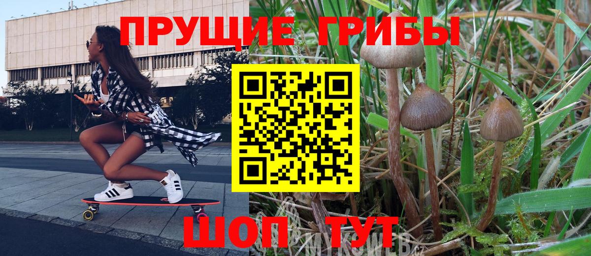 Галлюциногенные грибы Cubensis  Вход с VPN  Грязи 