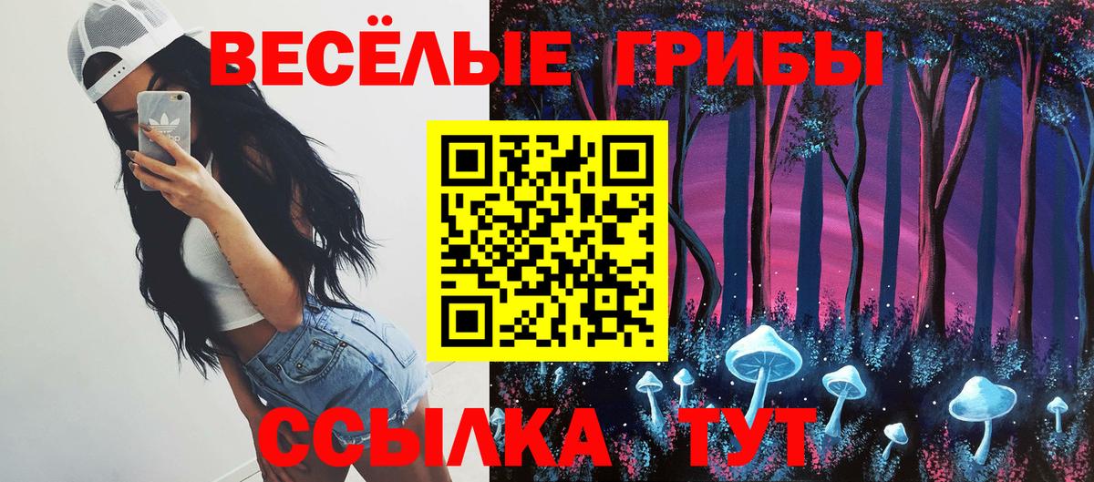 Галлюциногенные грибы Psilocybe Грязи